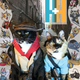 Illustration for article titled Valiant Comics Puts Cats in Cosplay, Creates the Greatest Variant Covers of All Time